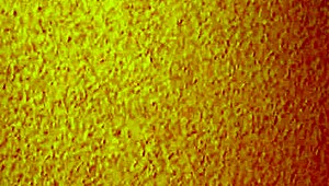 Discover the Contrast of a Mature Asian Prostitute in a Cheap Brothel