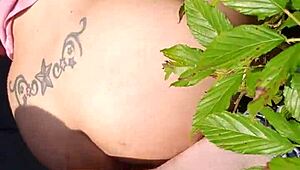 i got an outdoor blowjob from a bbw latina with deepthroat and gagging