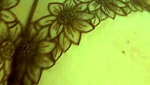 French amateur in spandex lingerie gets blowjob, rimming, pussy pounding, and dirty talk