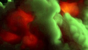 How Wild Is Halloween with Tantaly Sex Doll and Horny Friends?