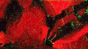 Imagine fucking Kali Ryder in that intense sex dungeon with WCA Productions