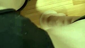 do you want to play with elza kom