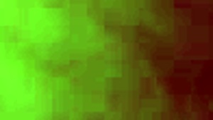 Lissa Love in Fishnets Auditions for Porno Role