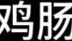 Sun Qian in Chapter 1: Flower Beauty Attracts Bees Middle, a detailed hentai anime story.