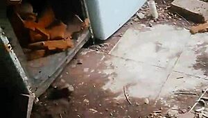 irreversible-sin-retorno - update 95 - mi novia me leva al patio y me hace un super oral garganta profunda - dec 24 2024