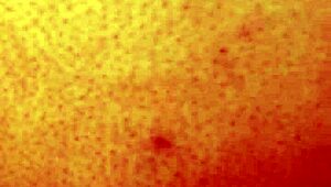 i love dozier313 ass fucking ebony bbw with creampie