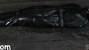 check out these hardcore fucking videos with tight pussies and sucking