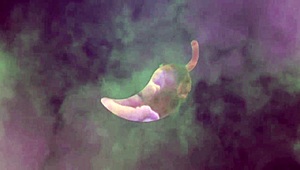 Hydrating The Fucking Machine With Cum And Pussy Juices