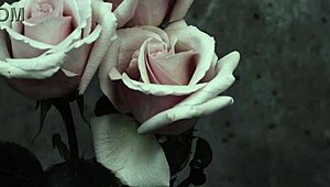 Mcr - I Dont Love You Sub Espa�ol