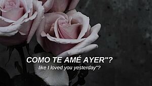 Mcr - I Dont Love You Sub Espa�ol