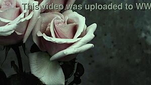 Mcr - I Dont Love You Sub Espa�ol