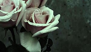 Mcr - I Dont Love You Sub Espa�ol