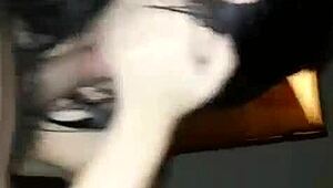 Thai girl sucking dick in intimate scene