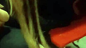 Hey, my friend is having a blast just trashing all my old sneakers