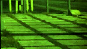 teen anal orgy at home