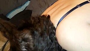 Milf in thong sucking big cock, hard nipples glowing