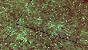 husband pulls down wife's pants part one