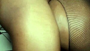Big booty amateur ebony in fishnet stockings sucks and fucks peter longs black cock