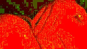 what happens when you fuck a transman's pussy face down in close-up action