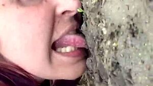 โอ้ย ปาสคาตัวเองกลายเป็นอับอายBDSMสุดเสียวในป่า