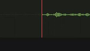 INCREDIBLE AUDIO OF NEIGHBOR PART 1 CAPTURES SPYING MOMENT