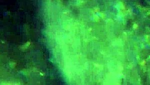 aqui tienen más de mi esperma, ¿alcanzará para preñarte? 😏🍆💦