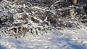 i narrate jerking off riskily in a public park near people