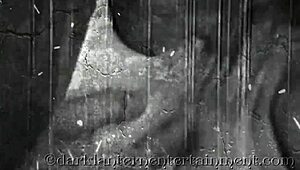 Oh Wow, Dive Into The Vintage World Where Dark Lantern Entertainment Unveils The Intriguing Tales From My Secret Life!