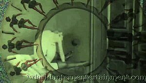 Oh Wow, Dive Into The Vintage World Where Dark Lantern Entertainment Unveils The Intriguing Tales From My Secret Life!