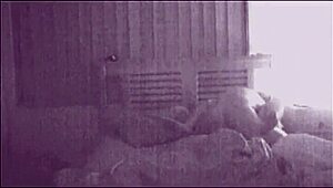 Amateur brunette couple fucks loudly with boyfriend and girlfriend moaning in orgasm