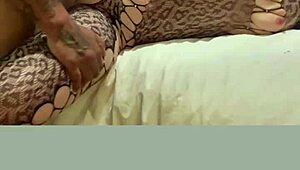 זיון עם סקסימגיקלוויטש בערב רגוע עם חברים קרובים