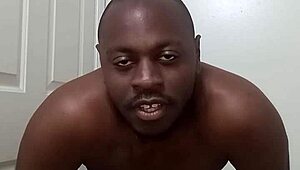 Learning Bathroom Habits From Pet Dog To Avoid Mess Around Anus Without Leaving Traces