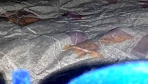 African Bbc Fucks Sexy Ebony