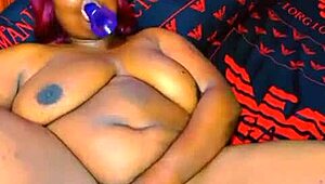 sundaydogood614 shares update 355 with vid from jul 27 2024 on recent activities