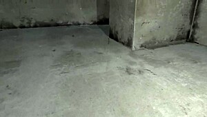 Wanna dive into this girlfriend experience in VR with some bent over doggystyle and femdom play? Let's make it feel real as friends.