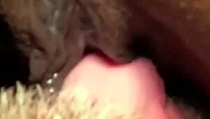 Flowerandlouis Update 5 deler morgen etter latter med komedie i hverdagen 13. juli 2024