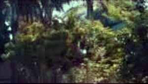 Stepdaughter Remy Woods Begs for Shelter and Gets Intense Creampie in Doggystyle Bedroom Action