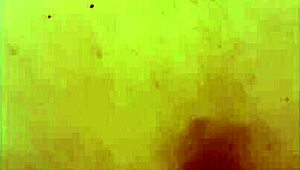 Kipróbálom az XL Flint és Sleipnir játékokat óvszerrel biztonságért