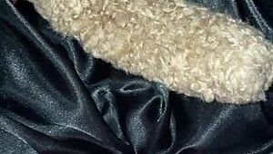 When We Hook Up-My BBC Makes You Cum Inside And Impregnate Me As Arabian Snowwhite Masturbates In Los Angeles USA