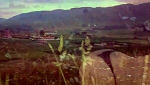 I watch these slut wives get hot and start fucking in the forest