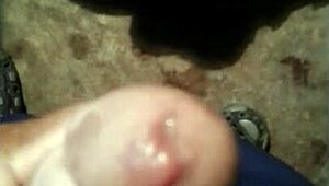 Big dicks for curvy blondes with thick asses