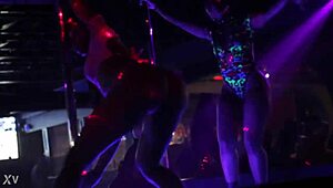 Hey, are you watching this twerk in the club with all that ass shaking and erotic dancing moves?