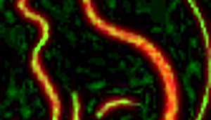 In a wild new age setup the sluty red cat joins a threesome using milkingtable and sexmachine for intense fun.