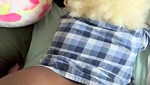 whoa, homemade amateur ebony blonde gets bent over in bedroom!