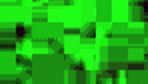 pendeja arrodillada haciendo pete a este tipo argentino como una pro total