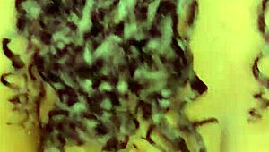 what's the deal with sundaydogood614's update 493 from sep 19 2024 on vid 20240919 124432?