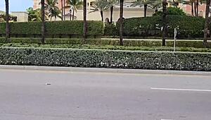 I left my panties by the door, now this perverted stranger with huge cock follows me home for creampie action 😏