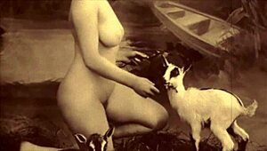 Iz mog tajnog života, erotske ispovesti viktorijanskog engleskog gospodina, deli Dark Lantern Entertainment.