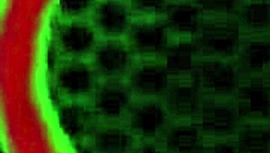 Christine Sapphire Takes Monster Cock in Gaping Doggystyle Ride!