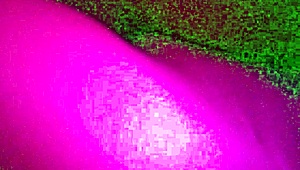 Lesbians giving each other pleasure with their tongues in a passionate session